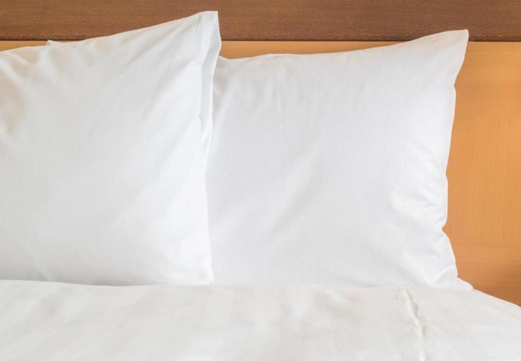 Holiday Inn Express Knoxville-Strawberry Plains By Ihg Εξωτερικό φωτογραφία